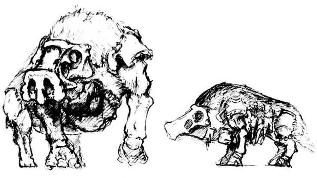 LQPS Shadow of the Colossus - Sirius - 