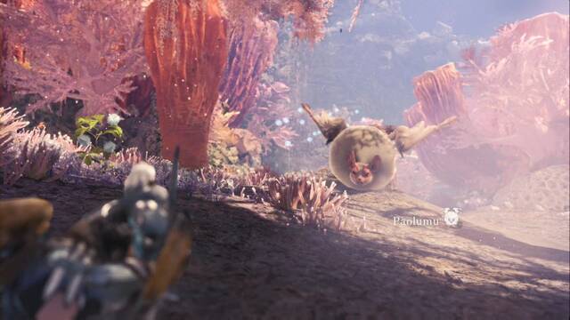 Monster Hunter World - ¡A volar, Paolumu! - Paolomu