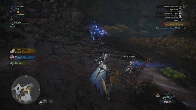 Monster Hunter World - Al fondo del Valle Putrefacto - Sigue los rastros