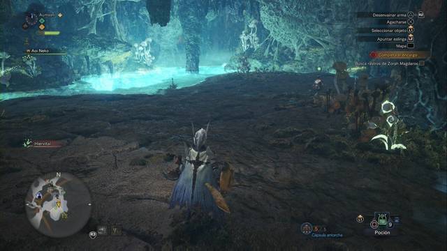 Monster Hunter World - Al fondo del Valle Putrefacto - Evita los charcos de ácido