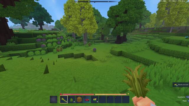Hytale - vlcsnap 2026 01 16 12h27m16s457