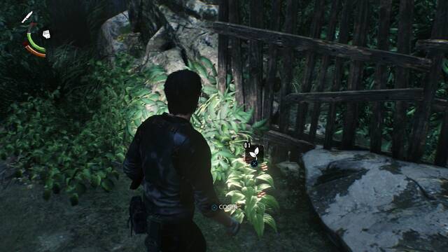 The Evil Within 2 - Objetos: Hierba - Hierba 1