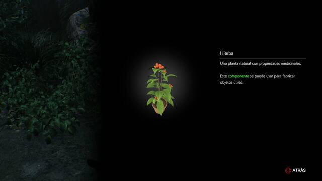 The Evil Within 2 - Objetos: Hierba - Hierba 2