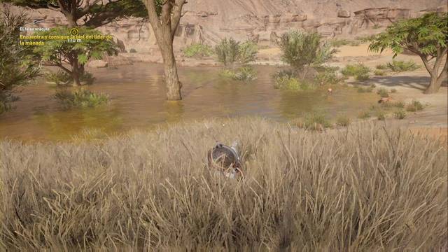 Assassin Creed Origins - El Falso Oráculo - Lleva a Khemu hasta la manada de íbices - Zona de caza