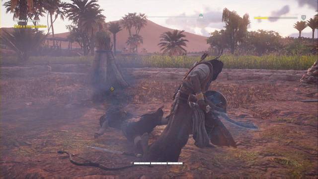 Assassin Creed Origins - Misión secundaria: Ofrenda y demanda - Acaba con los enemigos