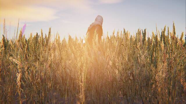 Assassin Creed Origins - La máscara del Lagarto - En el campo de juncos