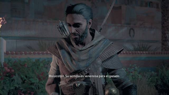 Assassin Creed Origins - La máscara del Lagarto - Menudo montón de
