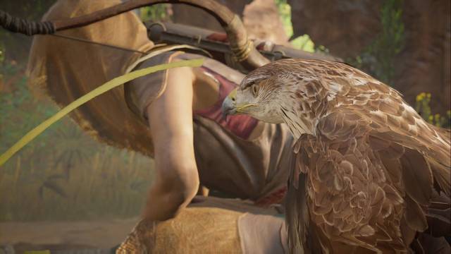 Assassin Creed Origins - Misión secundaria: Reunión - Senu se ha posado con alguien