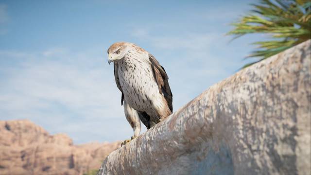 Assassin Creed Origins - El Oasis - Senu