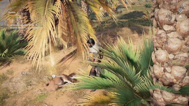 Assassin Creed Origins - Misiones secundarias - Equpate - Looteo