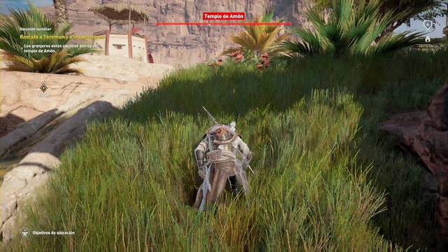 Assassin Creed Origins - Misiones secundarias - Reunin familiar - Hierba alta