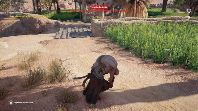 Assassin Creed Origins - Misiones secundarias - Reunin familiar - Carga el cuerpo
