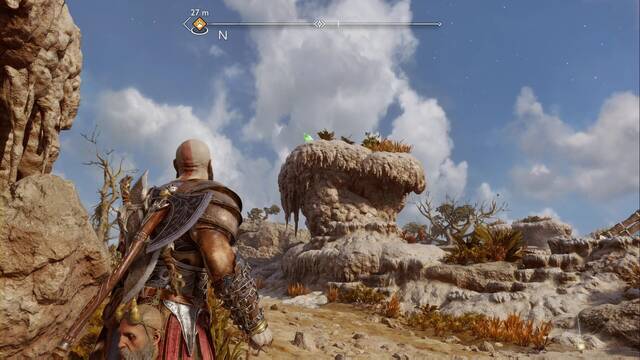 Cuervo de Odn #9 en Humedales de Aurvangar - Cuervo de Odn #9 en Humedales de Aurvangar