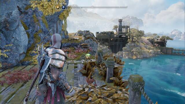 Cuervo de Odn #10 en Isla de lyngbakr - Cuervo de Odn #10 en Isla de lyngbakr