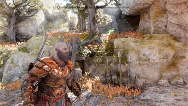 Cuervo de Odn #11 en Hondonada de Alberich - Cuervo de Odn #11 en Hondonada de Alberich