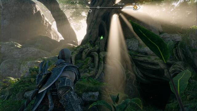 Cuervo de Odn #7 en Bosque oriental de Barri - Cuervo de Odn #7 en Bosque oriental de Barri