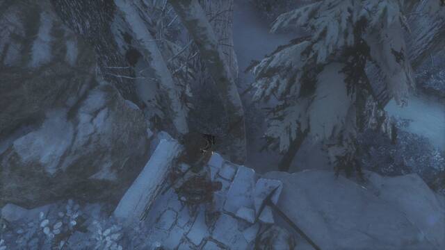 Rise of the Tomb Raider - Bosque siberiano 1 - Documento 1