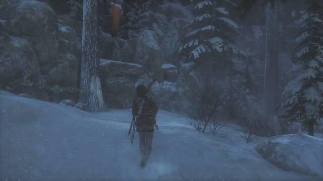 Rise of the Tomb Raider - Bosque siberiano 1 - Documento 3