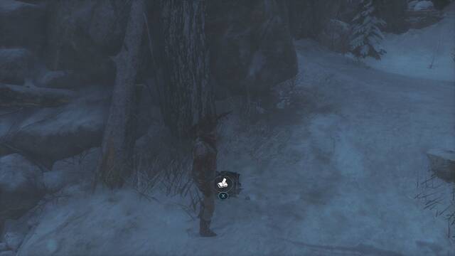 Rise of the Tomb Raider - Bosque siberiano 2 - Alijo de supervivencia 2