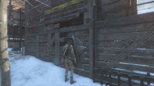 Rise of the Tomb Raider Instalacin 2 3 - Mural 9