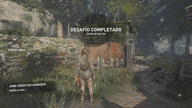 Valle geotérmico 3 - Gallos