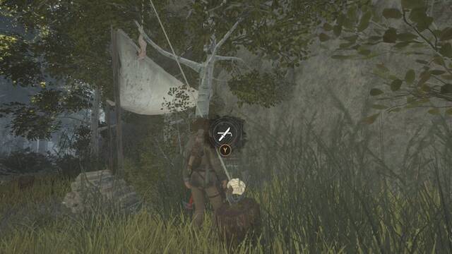 Valle geotérmico 3 - Conejo 2