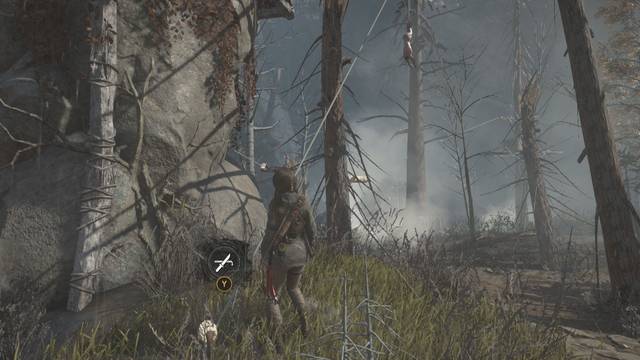 Valle geotérmico 7 - Conejo 3