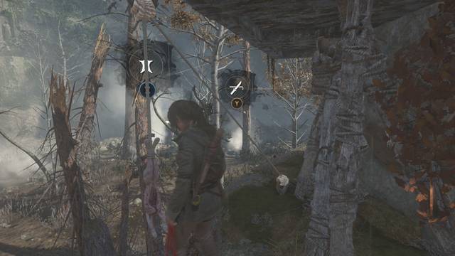 Valle geotérmico 7 - Conejo 4