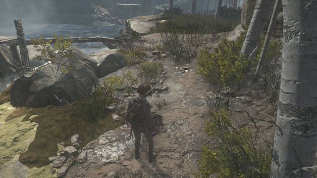 Valle geotérmico 7 - Alijo de supervivencia 6