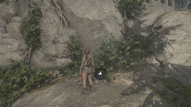 Valle geotérmico 8 - Alijo de supervivencia 7