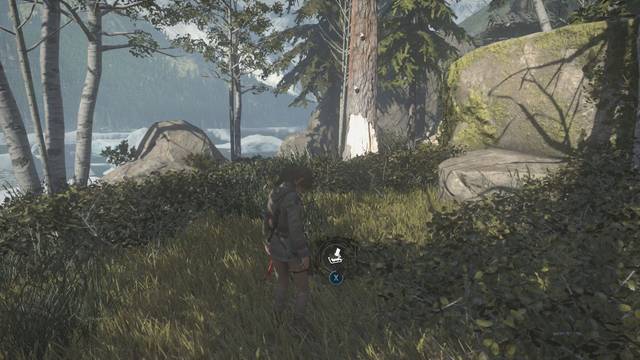 Valle geotérmico 9 - Alijo de supervivencia 8