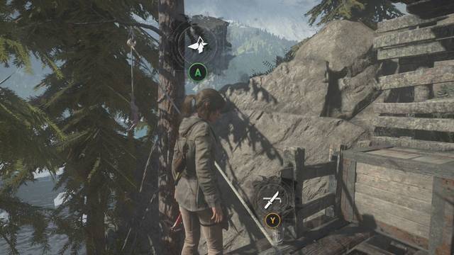 Valle geotérmico 9 - Conejo 5