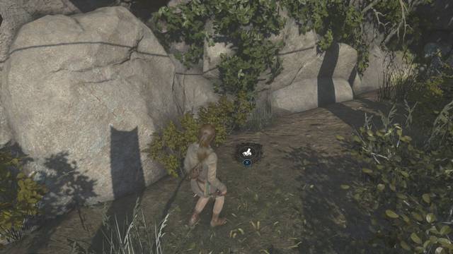 Valle geotérmico 9 - Alijo de monedas 3