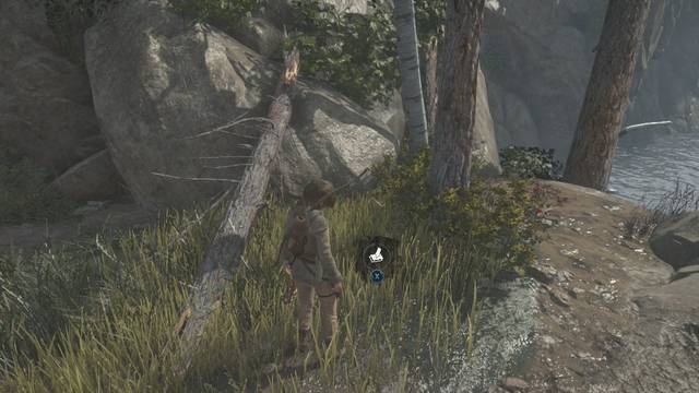 Valle geotérmico 9 - Alijo de supervivencia 9