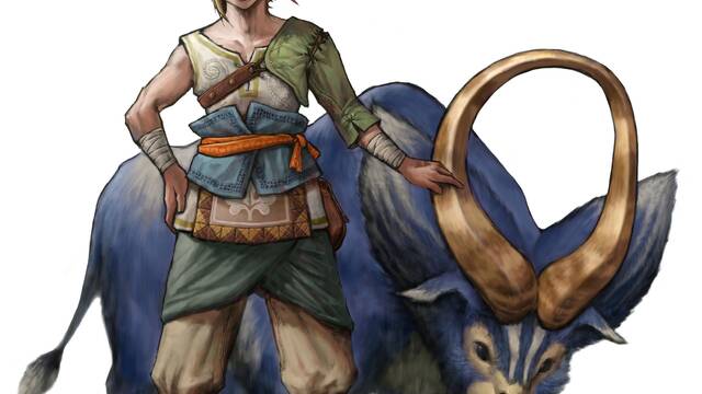 The Legend of Zelda: Twilight Princess HD - 