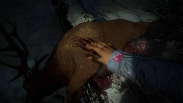 Until Dawn en PS3 - 