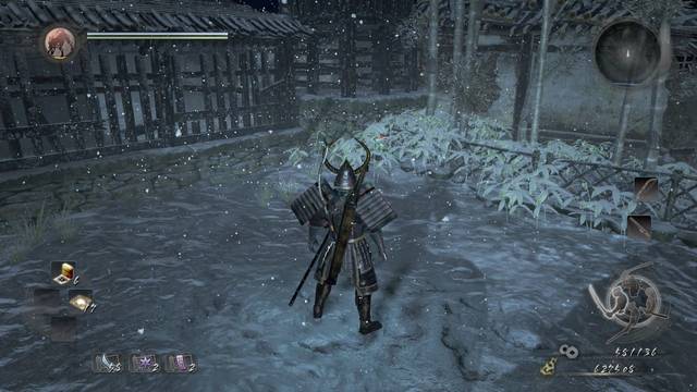 Nioh Nevada insólita - Kodama 1