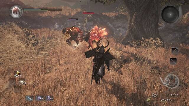 Nioh La caza del demonio - Demonios (2)