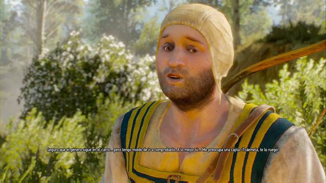 The Witcher 3: Wild Hunt - Un cargamento precioso - Ha perdido un valioso cargamento