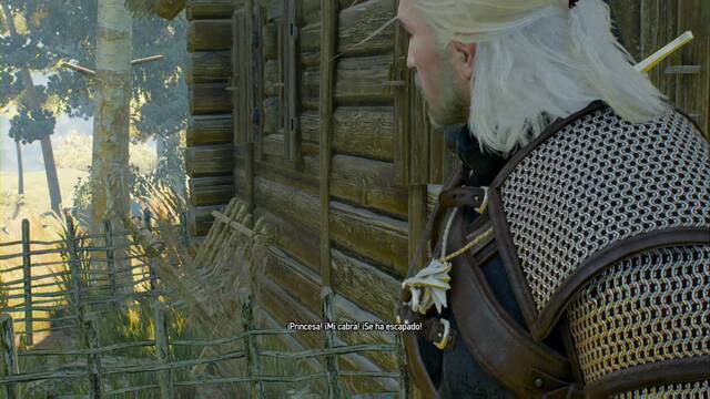 The Witcher 3: Wild Hunt - Asuntos familiares 4 - Hay que buscar