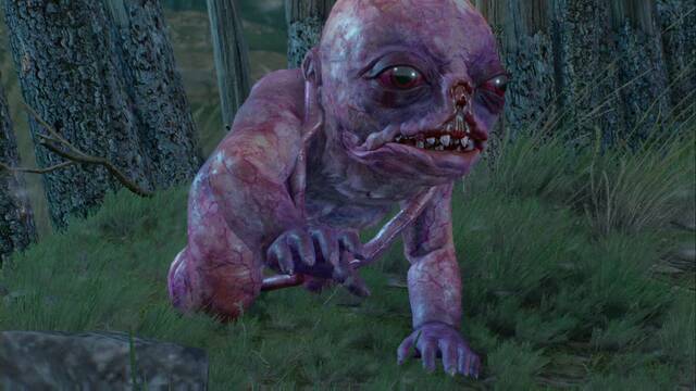 The Witcher 3: Wild Hunt - Asuntos familiares 6 - La Malograda est suelta
