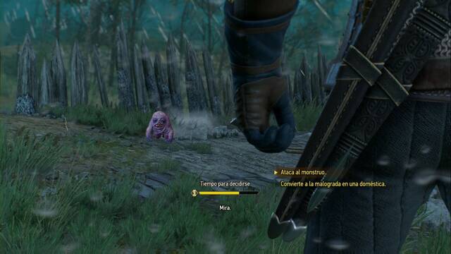 The Witcher 3: Wild Hunt - Asuntos familiares 6 - T decides qu haces