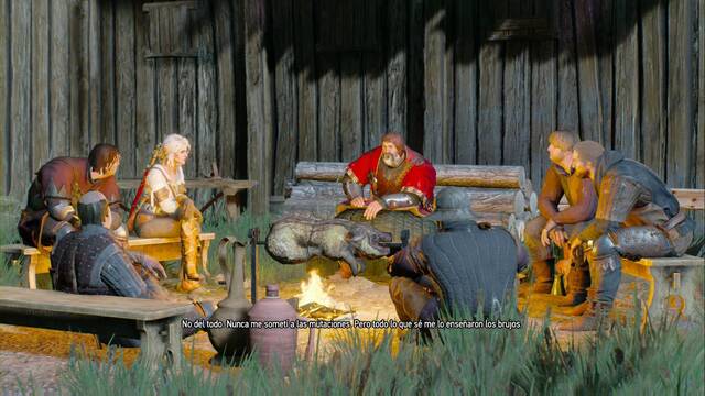 The Witcher 3: Wild Hunt - Asuntos familiares 8 - Ciri habla de dnde aprendi a luchar