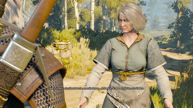 The Witcher 3: Wild Hunt - Defensor de la fe - Alguien est tirando altares
