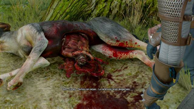 The Witcher 3: Wild Hunt - Corazn salvaje - Esto no es cosa de un lobo normal