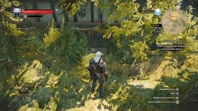 The Witcher 3: Wild Hunt - Corazn salvaje - Entra por detrs