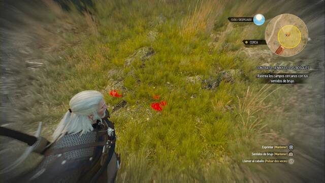 The Witcher 3: Wild Hunt - Jenny de los bosques - Busca el rastro en el campo