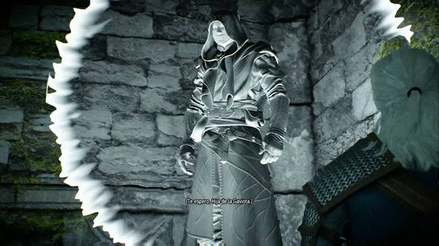 The Witcher 3: Wild Hunt - Deambulando en la oscuridad 1 - Ciri tena que reunirse con este elfo