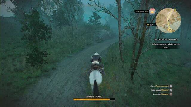 The Witcher 3: Wild Hunt - Un favor para un amigo - Da igual que ganes la carrera o no