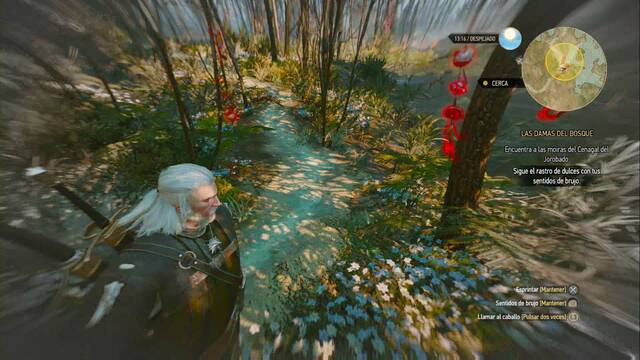The Witcher 3: Wild Hunt - Las Damas del bosque 1 - Sigue el rastro de dulces